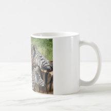 Cebras Suráfrica Taza