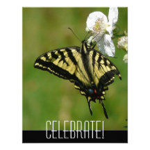 ¡Celebre! Cualquie invitación de la mariposa de la