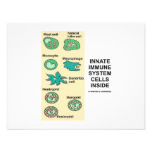 Células naturales del sistema inmune dentro invitaciones personalizada