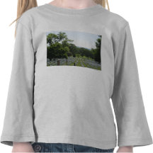 Cementerio de Arlington Camisetas