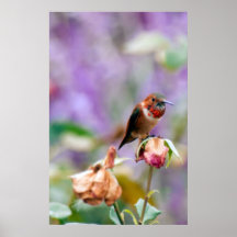 Centinela solitario posters
