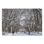Central Park de la alameda del invierno Impresiones Fotográficas