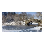 Central Park del puente y del hielo de la nieve Arte Fotografico