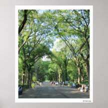 Central Park: El paseo del poeta en el verano Impresiones