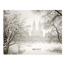 Central Park - nieve hermosa del invierno Tarjetas Postales