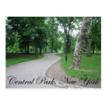 Central Park, Nueva York Tarjetas Postales