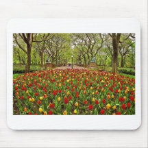 Central Park NYC de los tulipanes Alfombrilla De Raton