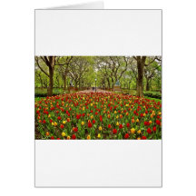 Central Park NYC de los tulipanes Felicitacion