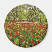 Central Park NYC de los tulipanes Iman