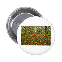 Central Park NYC de los tulipanes Pins