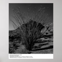 Centro de investigación profundo del desierto del  posters