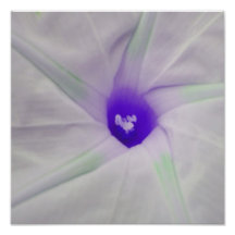 Centro púrpura de la flor foto