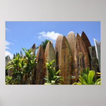 Cerca de la tabla hawaiana de Maui del poster