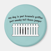 Cerca-Puente de la pieza de Bruselas Griffon de la Iman