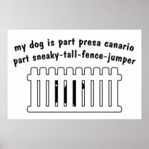 Cerca-Puente de la pieza de Presa Canario de la pa Impresiones