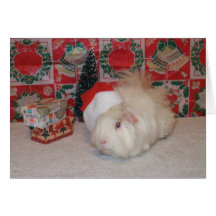 Cerdo blanco de Santa Tarjeta