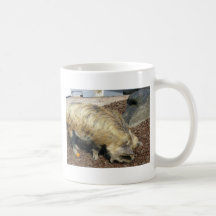 Cerdo de Kunekune Taza