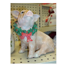 Cerdo del navidad tarjetas postales