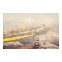 Cerdo del vuelo - avión - el paseo de la alegría papeleria de diseño