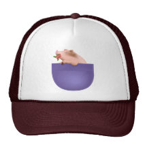 Cerdo en bolsillo gorros  