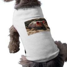 Cerdo en el Sun Camiseta De Perrito