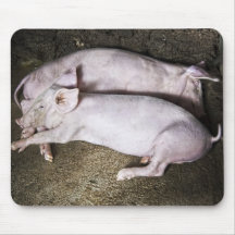 Cerdos de reclinación Mousepad Tapete De Raton