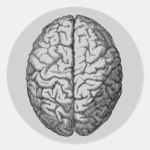 Cerebro Pegatinas