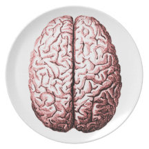 Cerebros sus cuál está para la cena platos de comidas
