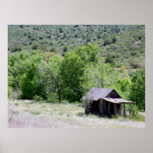 Cereza Arizona Posters