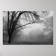Césped en la niebla poster