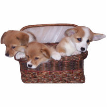 Cesta de Corgis Esculturas Fotográficas
