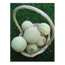 Cesta de postal del ~ de los melones
