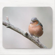 Chaffinch Alfombrilla De Raton
