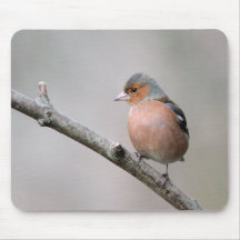 Chaffinch Alfombrilla De Ratón