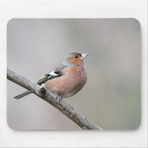 Chaffinch Alfombrillas De Ratón