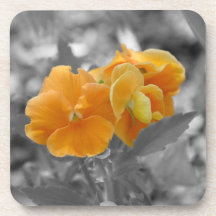 Chapoteo del naranja posavaso