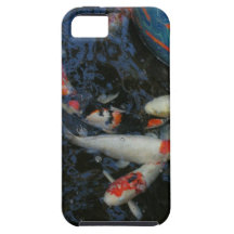 Charca de Koi iPhone 5 Carcasa