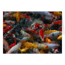 Charca de Koi Tarjetón