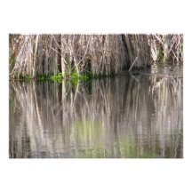 Charca reflectora invitación