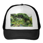 Charca rosada con el Hosta, florindae del Primula, Gorra