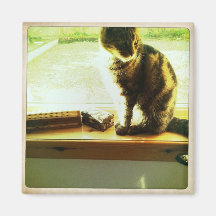 Charlie en la ventana imán de frigorífico