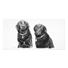 Charlie y Alfie - tarjeta de la foto Tarjeta Fotográfica Personalizada
