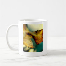 CHASQUIDO TAZAS DE CAFÉ