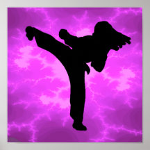 Chica del karate poster