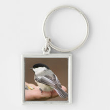 Chickadee capsulado negro llaveros personalizados