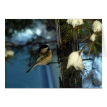 Chickadee dulce felicitación