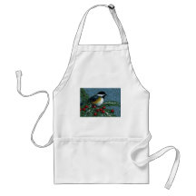 CHICKADEE EN RAMA DEL PINO NEVADO DELANTAL