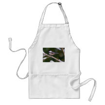 ¿Chickadee Negro-capsulado? fondo verde Delantal