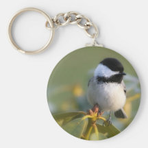 Chickadee Negro-capsulado Llaveros Personalizados