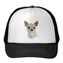Chihuahua 9P93D-123_2 Gorra